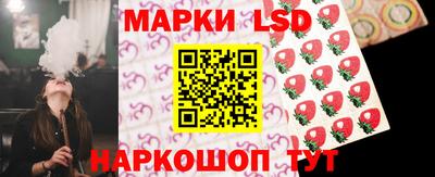 шишки Кимры