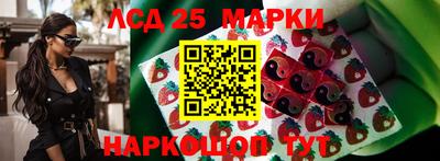 мдпв Кандалакша