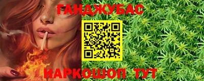 шишки Кимры