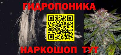 ГАЛЛЮЦИНОГЕННЫЕ ГРИБЫ Кинель