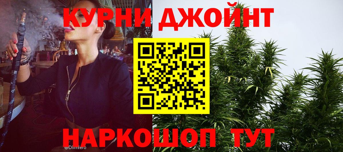 Шишки марихуана конопля Ставрополь